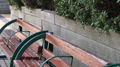 20210213120341_IMG_0411