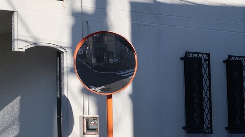 20230811165517_IMG_9057