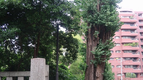 20201004141905_IMG_8406