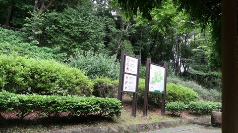 20220611175752_IMG_4612