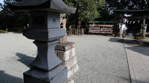 20190210140227_IMG_0923