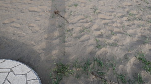 20230423162315_IMG_8093