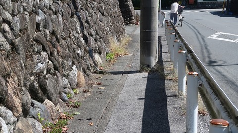 20231007114935_IMG_9624