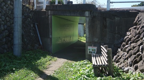 20231007111708_IMG_9599