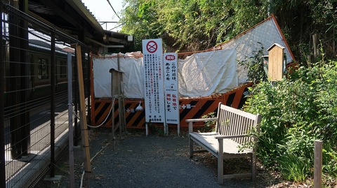 20190525151618_IMG_2459