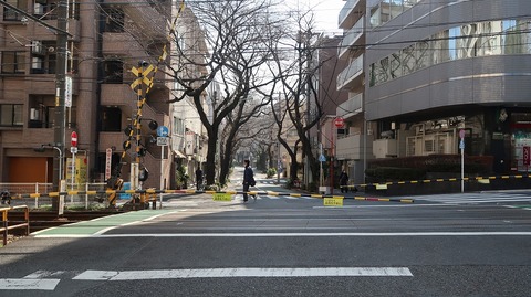 20210213113135_IMG_0388