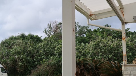 20221118132422_IMG_6882