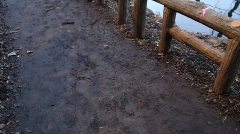 20191102170605_IMG_4749