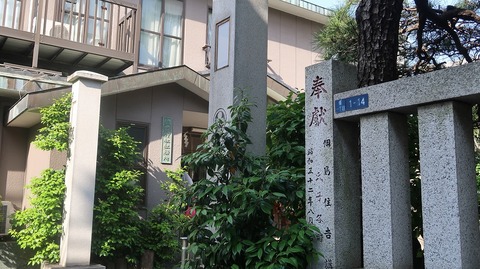 20230527155517_IMG_8361