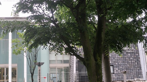 20230513173420_IMG_8307