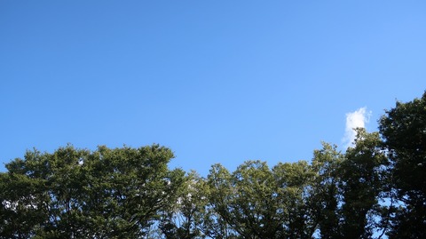 20230811150506_IMG_8984