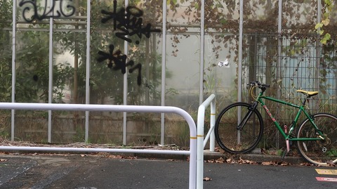 20221126123330_IMG_7059