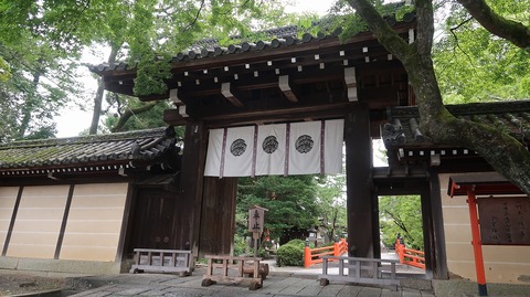 20200808141617_IMG_7142