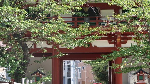 20230811145312_IMG_8967