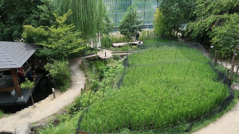 20220812114318_IMG_5652