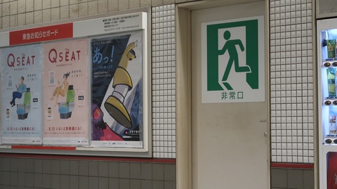 20230811134856_IMG_8931