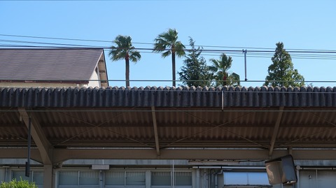 20230814152258_IMG_9097