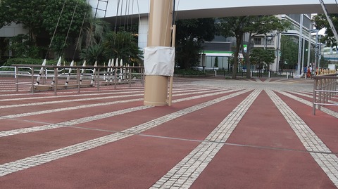 20200816174737_IMG_7500