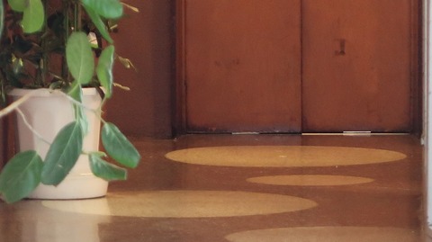 20190727174049_IMG_3130