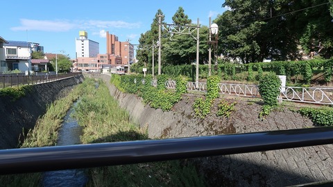 20200919142418_IMG_7853