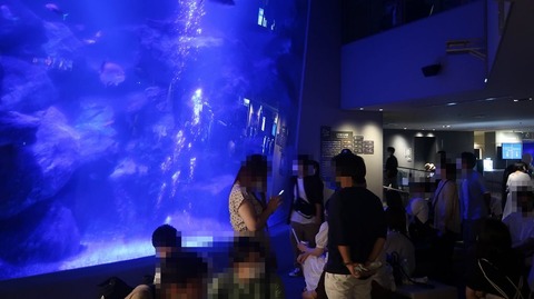 20220730185502_IMG_5311