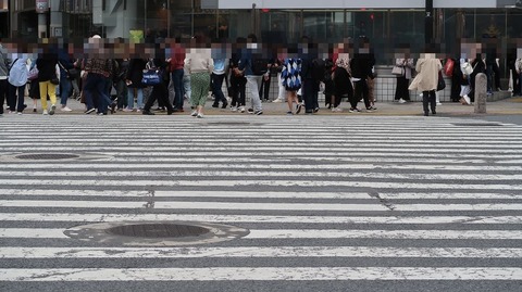 20230422110334_IMG_8000