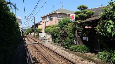 20190525095439_IMG_2362