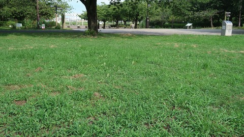 20220807153031_IMG_5428