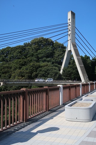 20231007102354_IMG_9574