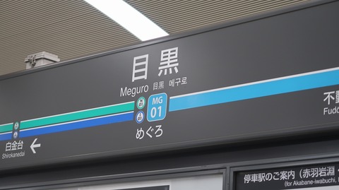 20230811131232_IMG_8946