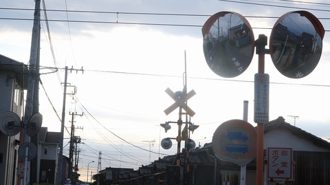 20200801173912_IMG_6947