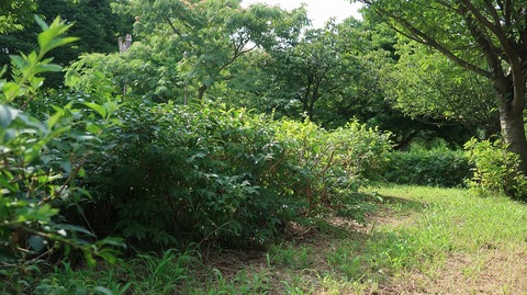 20220807153827_IMG_5437