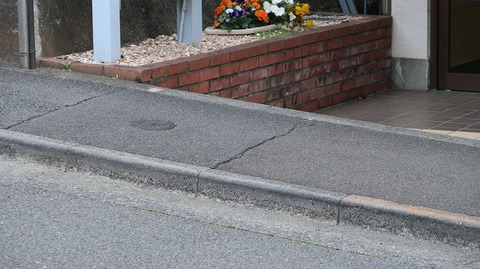 20220410173933_IMG_3441