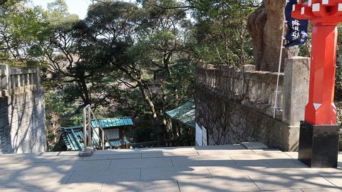 20190223114607_IMG_1006