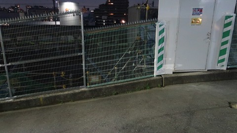 20190728192833_IMG_3195