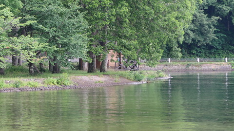 20190713131816_IMG_2848