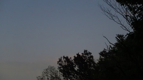 20220828194633_IMG_6093