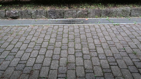 20220611180538_IMG_4624