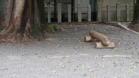 20220813091535_IMG_5786