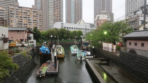 20230415174949_IMG_7992