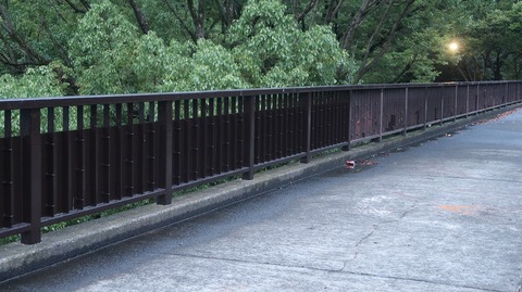 20200726185754_IMG_6833