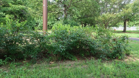 20220807153750_IMG_5436