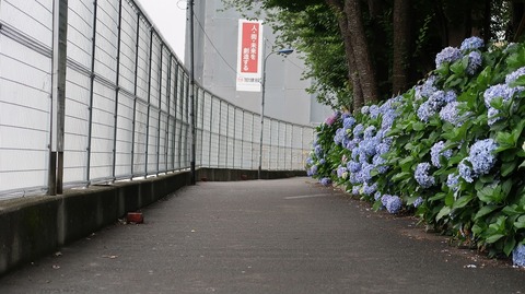 20190629164548_IMG_2659