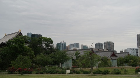 20220508175811_IMG_4208