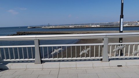 20190223105017_IMG_0980