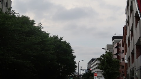 20230610175340_IMG_8525