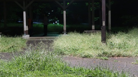 20220828192028_IMG_6108