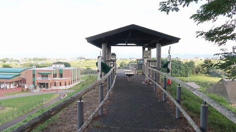 20200920143338_IMG_8061