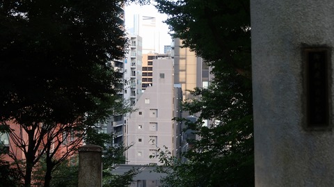 20221030153055_IMG_6822