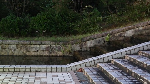 20200912184120_IMG_7711